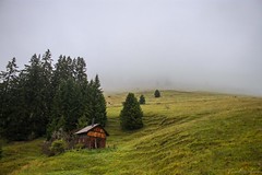 La Cabane Isolée en Automne II