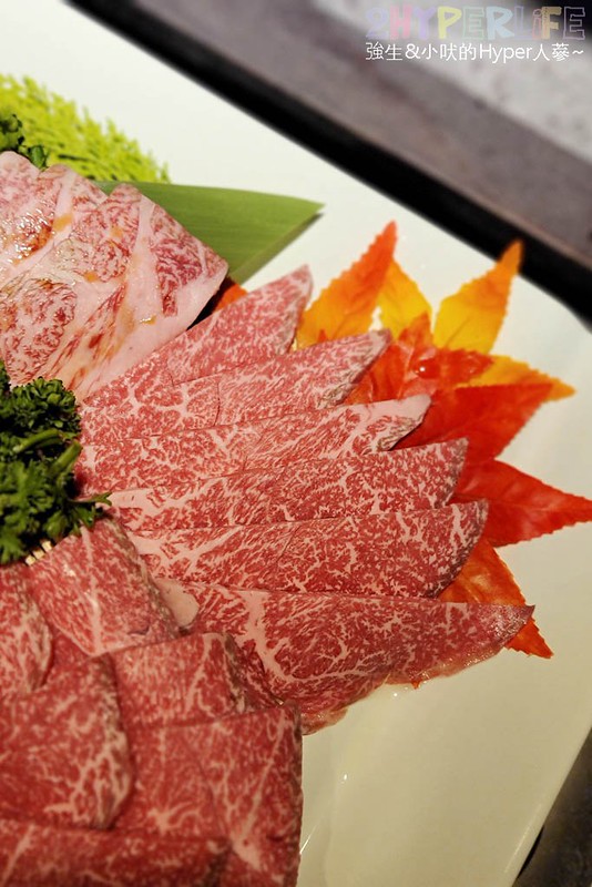 山鯨本家‧HONKE燒肉│台中西屯燒肉推這家！在滿滿日式氛圍裡吃個沉浸式燒肉，還有和服浴衣可體驗！新菜色和牛寶箱自帶仙氣上桌也好好拍呀～ @強生與小吠的Hyper人蔘~