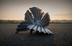 'Scallop', Aldeburgh Beach, Suffolk Coast