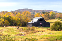 The Flag on the Barn is the Story