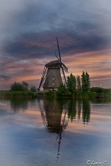 Windmill Romance