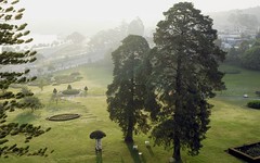 Early morning (Dalat, Vietnam)