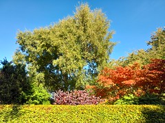 Autumn Colours in Inverness, Sep 2024