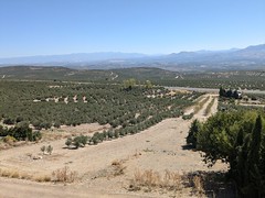 SPAIN, Jaen, Baeza. 29/09/24