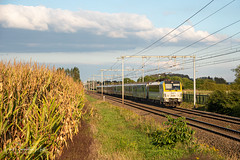 HLE 1861 met de P 8011 richting Gent-Sint-Pieters te Wetteren 2024-10-04