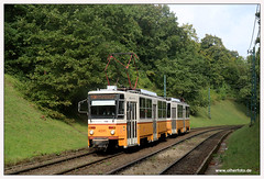 Tram Budapest - 2024-12