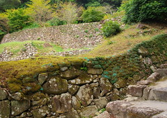 Stone steps on the main road　　大手道の石段