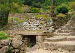 Stone steps on the main road　　大手道の石段