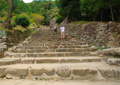 Stone steps on the main road　　大手道の石段