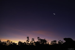 Moon and star at dusk