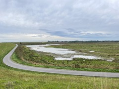 Hoedkenskerke