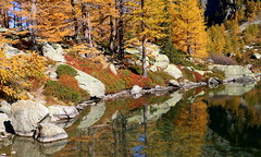 Riflessi autunnali (Lago d'Arpy)