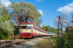 810.546 + 810.015 in Hodonín - Zbrod © 200873615@N05 Flickr