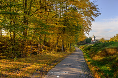 Autumn road