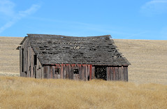 Abandoned Barn - Palouse - Washington State