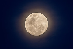 The Hunter's Full Moon at 99 percent full