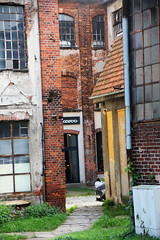 Former industrial laundry complex , Wrocław 🇵🇱 11.10.2024