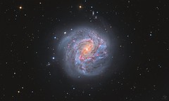 “Whirling Lights”: M83 – The Southern Pinwheel Galaxy