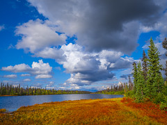 Blue Lake The Denali Highway Peak Fall Colors Alaskan Tundra Red Orange Yellow Foliage Changing Leaves Alaska Autumn Wilderness Fuji GFX100 Medium Format 45-100mm Fujinon Lens! Elliot McGucken Master Fine Art Landscape Photographer Epic Views and Scenery