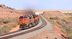 BNSF 710, WB, HOLBROOK, AZ 10-15-2024