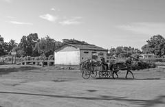 Horse and Cart La Isobel-Edit.jpg