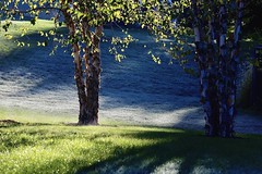 Our first Frost of the season, Wooster, OH.