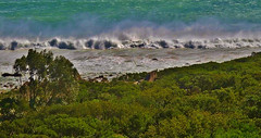 SÜDAFRIKA, Tolle Küste Richtung Kapstadt, False Bay , 22894