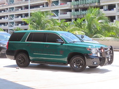 Broward County Sheriff Chevy Tahoe