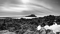 Worms Head Mono