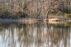 Sul Laghetto della Leccia (Montecatini Val di Cecina) - On the Leccia Lake (Montecatini Val di Cecina)