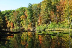 autumn colors and reflections