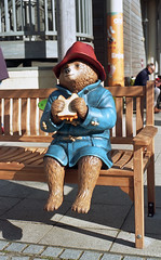 Paddington Bear In The Arc