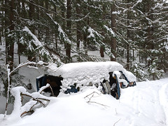 Snowy abandoned van