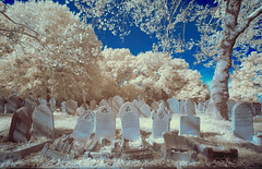 Abney Park Cemetery Stoke Newington London