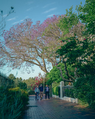 Sydney - Hasselblad x1dii