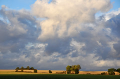 Skåne landscape