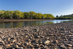 Tin Can Bay