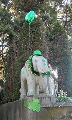 Saint Elephantrick