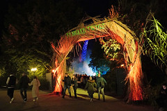 Tangled Twigs - Walibi Holland (Netherlands)