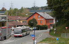 Bunte Buswelt - Salzburg