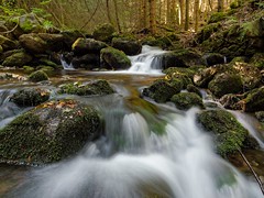 Water | Šumava