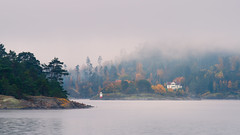 House with a view