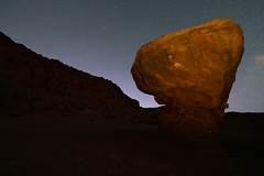 Marble Canyon Beauty