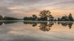 *Morning silence on the Moselle*