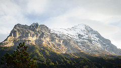 Grindelwald, Switzerland