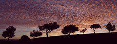 Sunrise Panorama Clouds