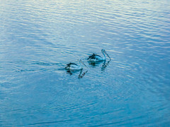 Sunrise, clouds, blue sky and water - a perfect day