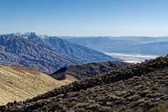 Guest Viewings in Death Valley National Park