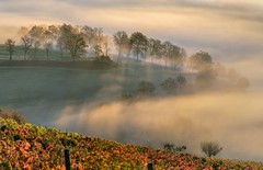 *Autumn on the serpentine road into the city*