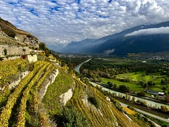 Valais vineyards near Sion